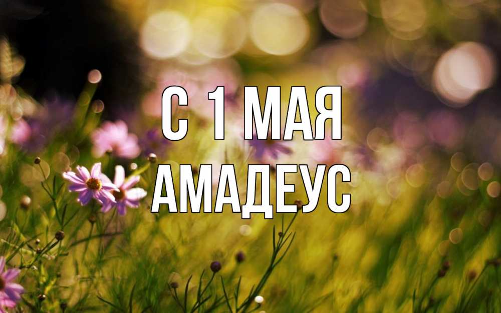 Открытка на каждый день с именем, Амадеус С 1 мая С 1 мая Прикольная открытка с пожеланием онлайн скачать бесплатно 