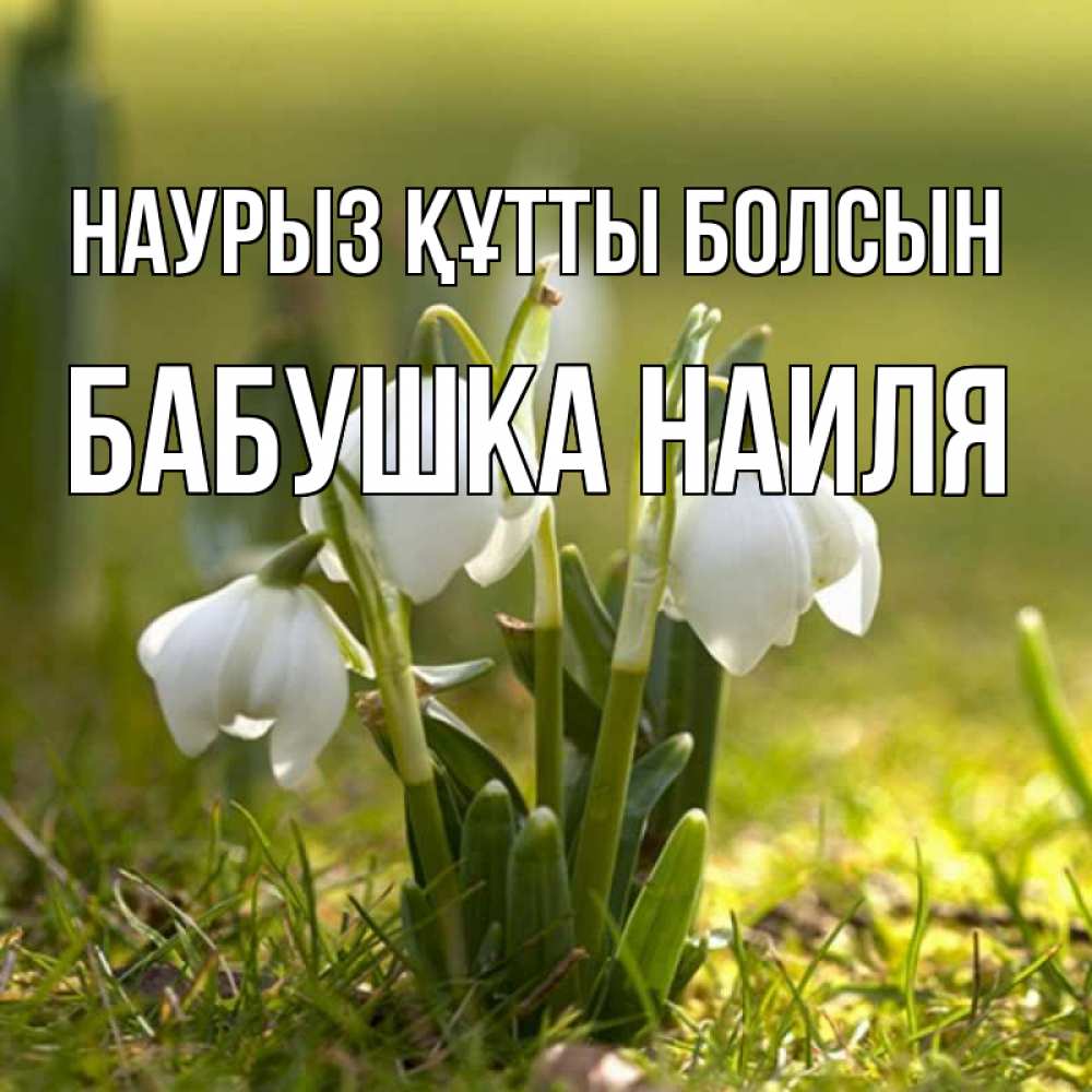 Открытка на каждый день с именем, Бабушка-Наиля Наурыз құтты болсын ранние цветы 2 Прикольная открытка с пожеланием онлайн скачать бесплатно 