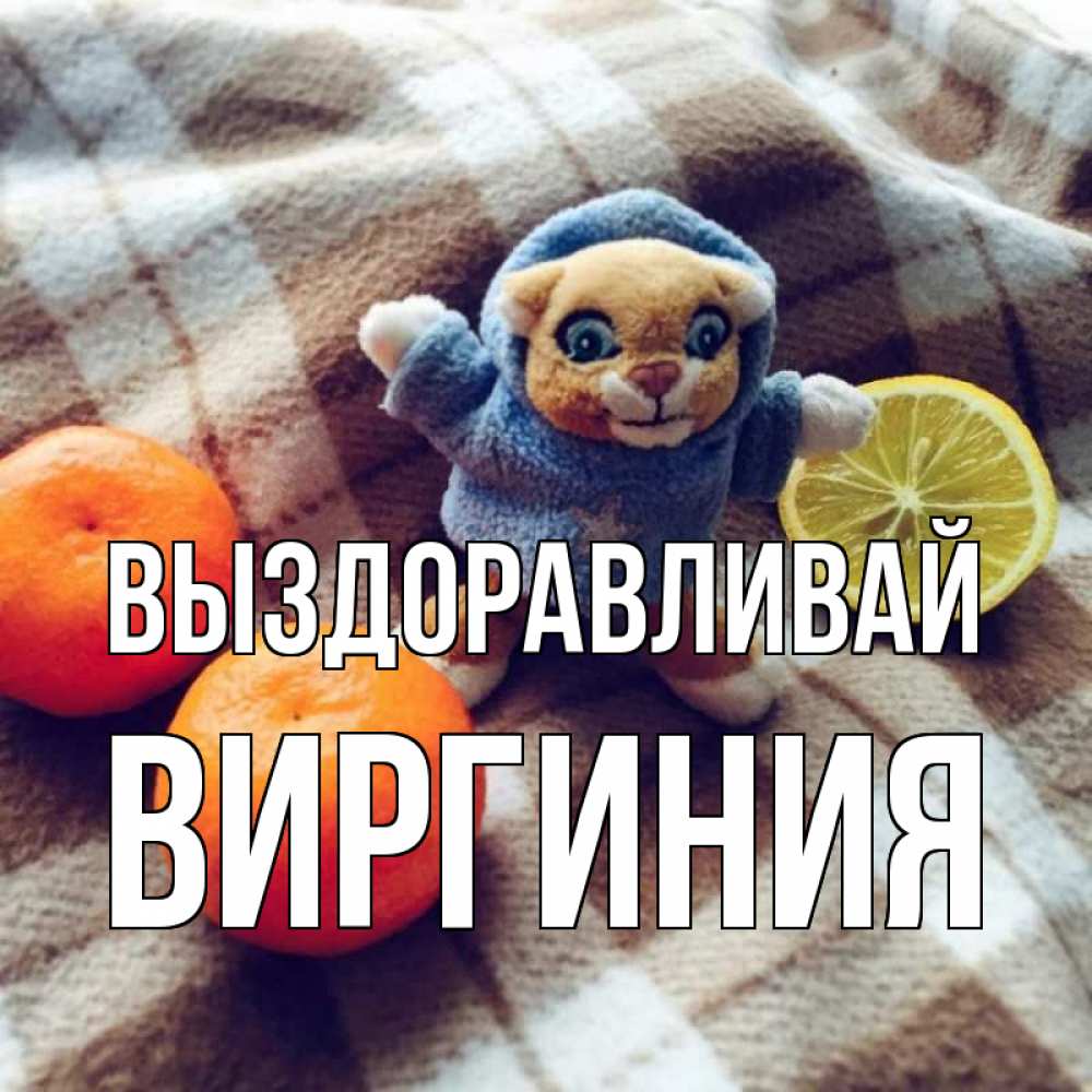 Открытка на каждый день с именем, Виргиния Выздоравливай вот тебе апельсинка и лимон Прикольная открытка с пожеланием онлайн скачать бесплатно 