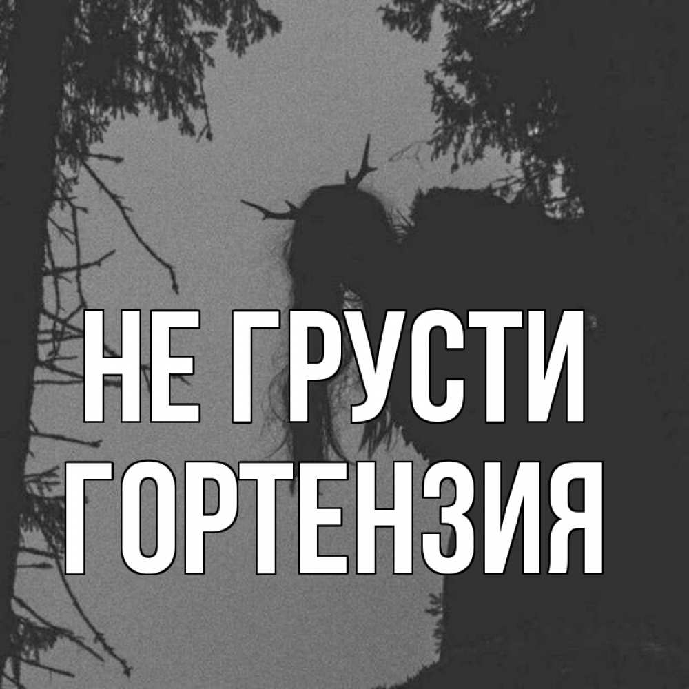 Открытка на каждый день с именем, Гортензия Не грусти чудище лесное Прикольная открытка с пожеланием онлайн скачать бесплатно 