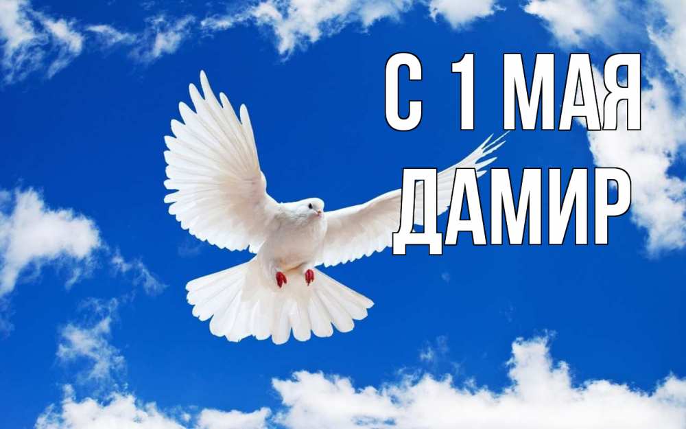 Открытка на каждый день с именем, Дамир С 1 мая С 1 мая 1 Прикольная открытка с пожеланием онлайн скачать бесплатно 