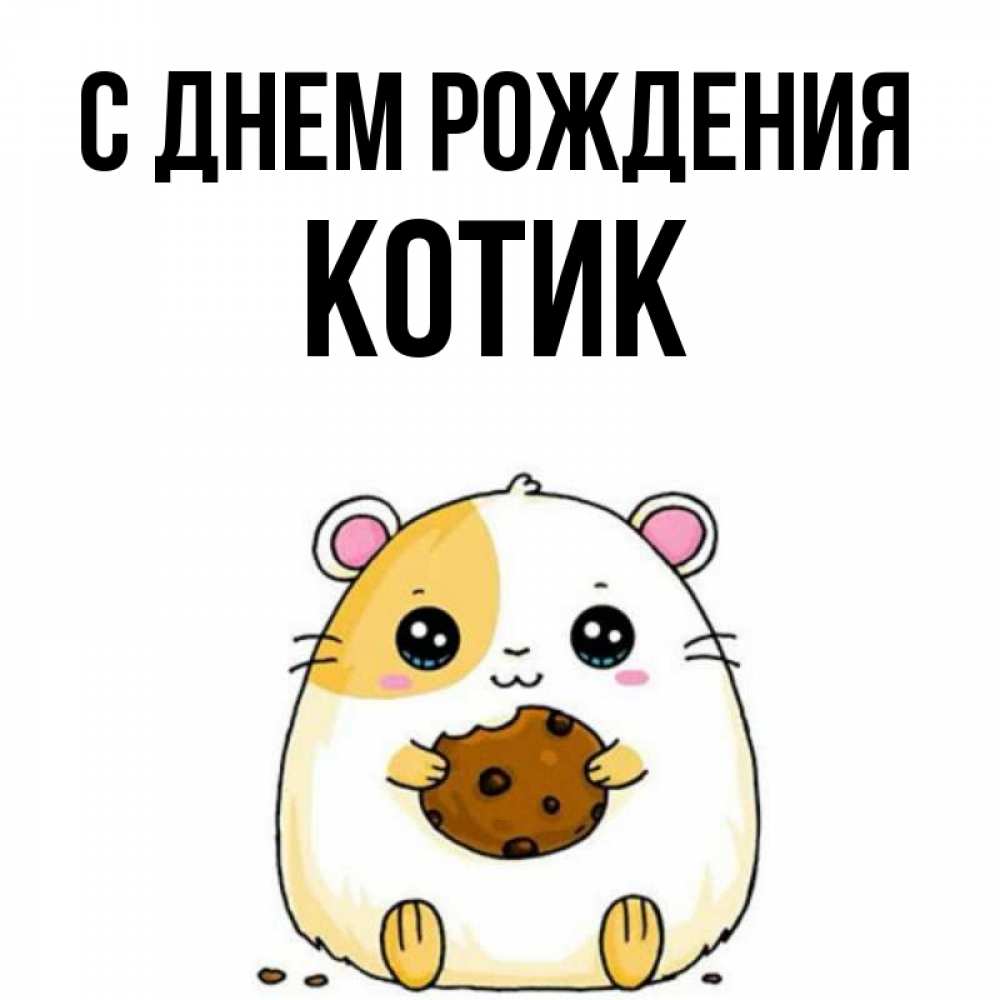 Открытка на каждый день с именем, КОТИК С днем рождения с днюхой Прикольная открытка с пожеланием онлайн скачать бесплатно 