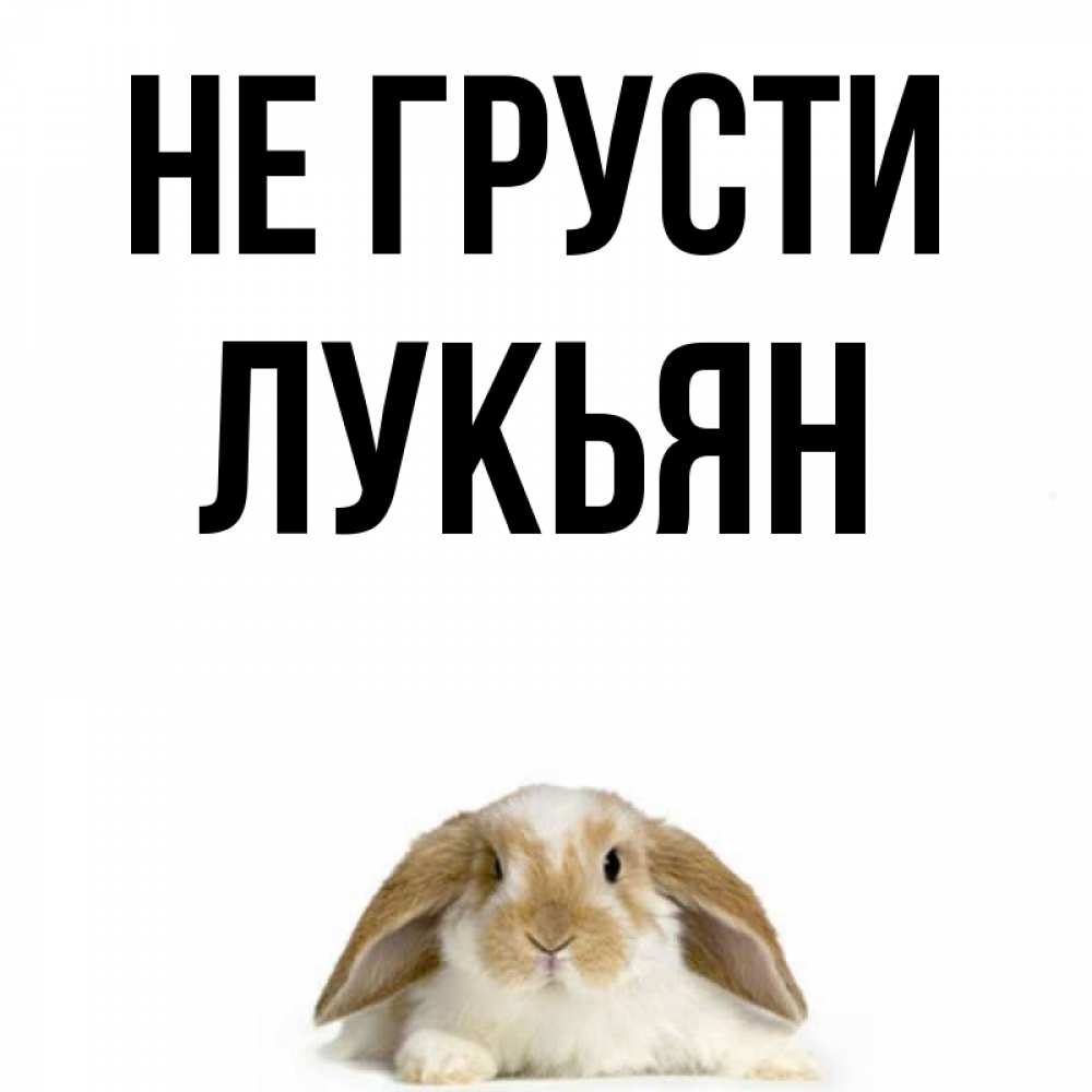 Открытка на каждый день с именем, Лукьян Не грусти коричнево белый заяц с большими ушками Прикольная открытка с пожеланием онлайн скачать бесплатно 