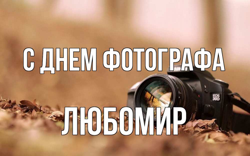 Открытка на каждый день с именем, Любомир С днем фотографа с днем фотографа Прикольная открытка с пожеланием онлайн скачать бесплатно 