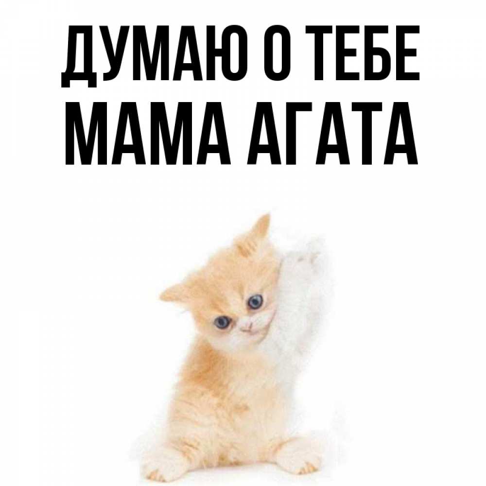 Открытка на каждый день с именем, Мама-Агата Думаю о тебе зверушки и милота Прикольная открытка с пожеланием онлайн скачать бесплатно 