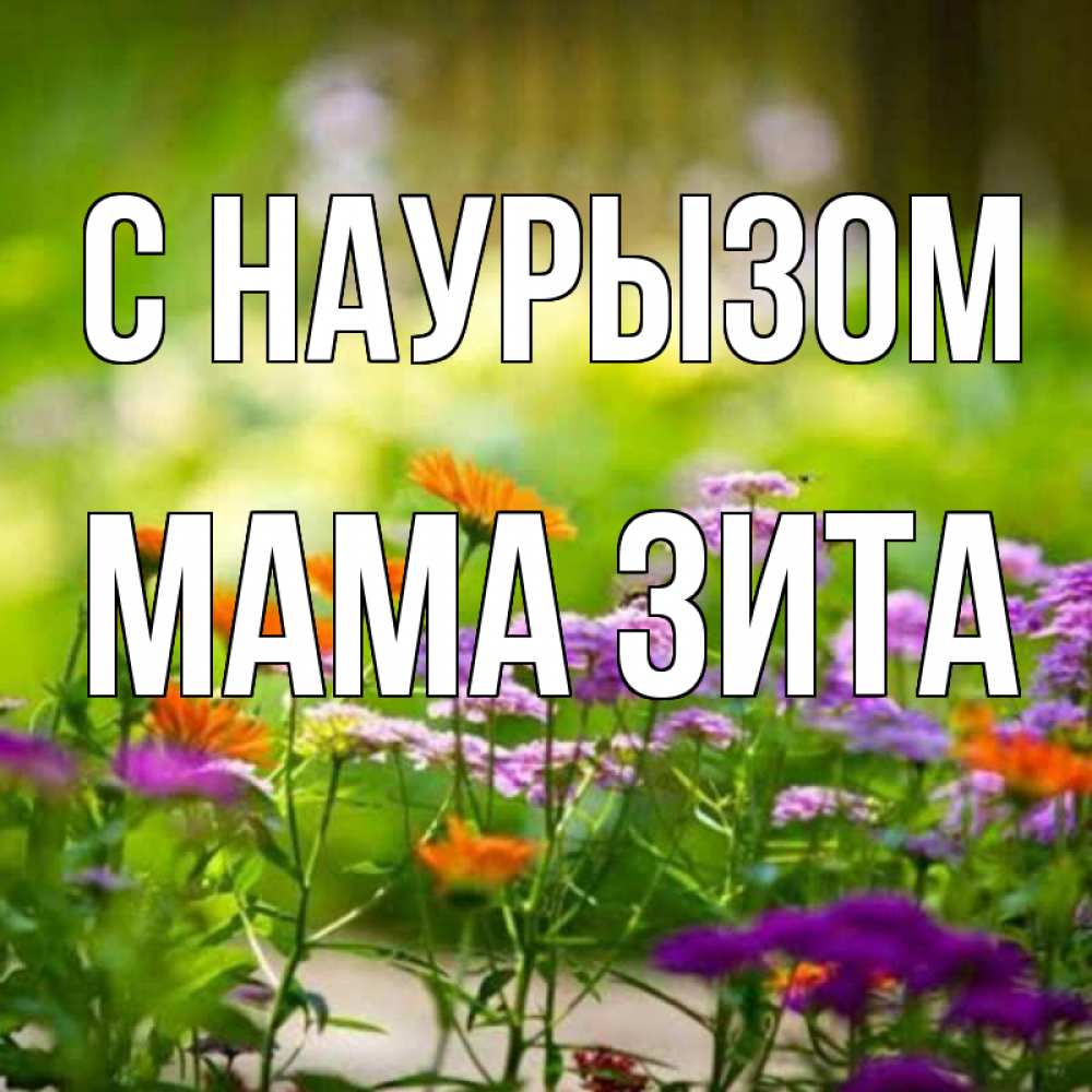 Открытка на каждый день с именем, Мама-Зита С наурызом цветы Прикольная открытка с пожеланием онлайн скачать бесплатно 