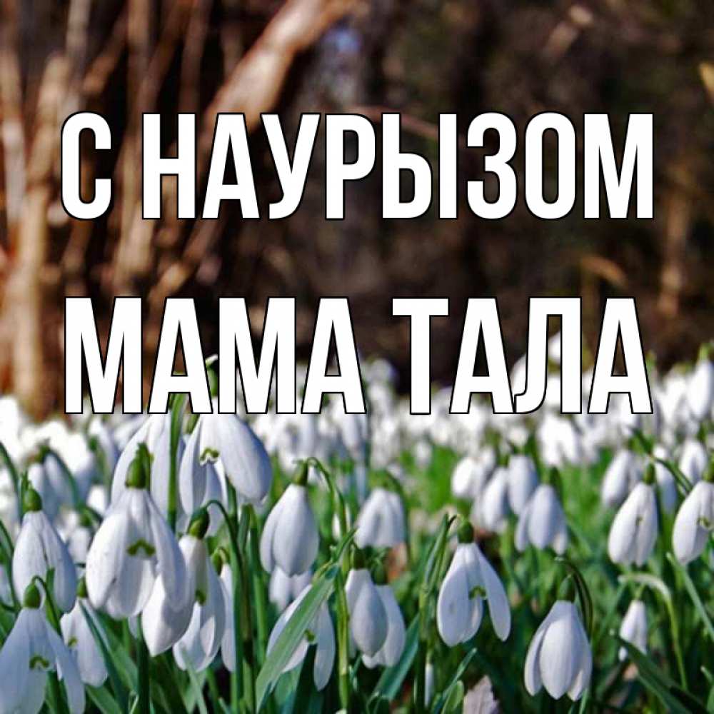 Открытка на каждый день с именем, Мама-Тала С наурызом с подснежниками 1 Прикольная открытка с пожеланием онлайн скачать бесплатно 