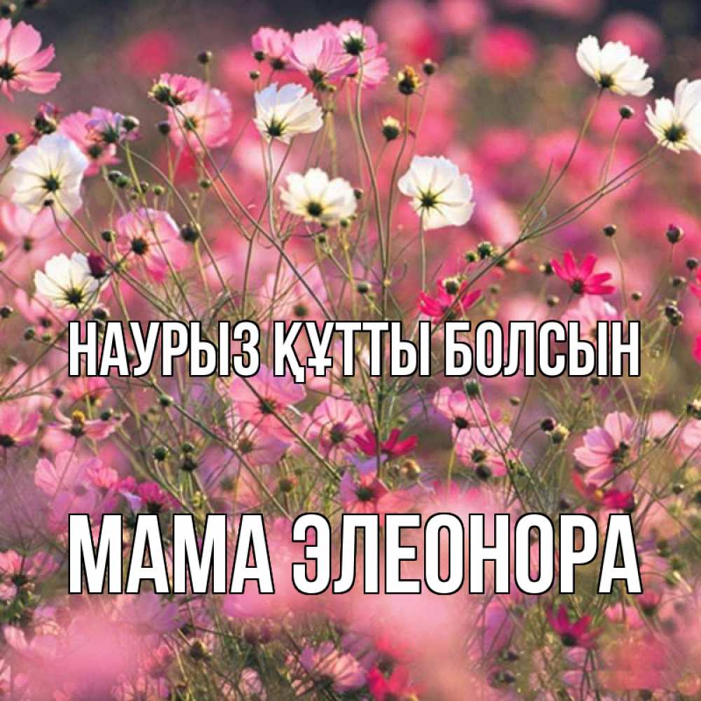 Картинка Наурыз құтты болсын, Мама Элеонора
