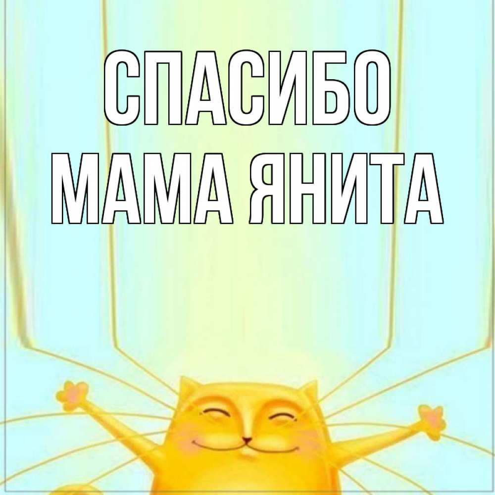 Открытка на каждый день с именем, Мама-Янита Спасибо кот с усами благодарит Прикольная открытка с пожеланием онлайн скачать бесплатно 