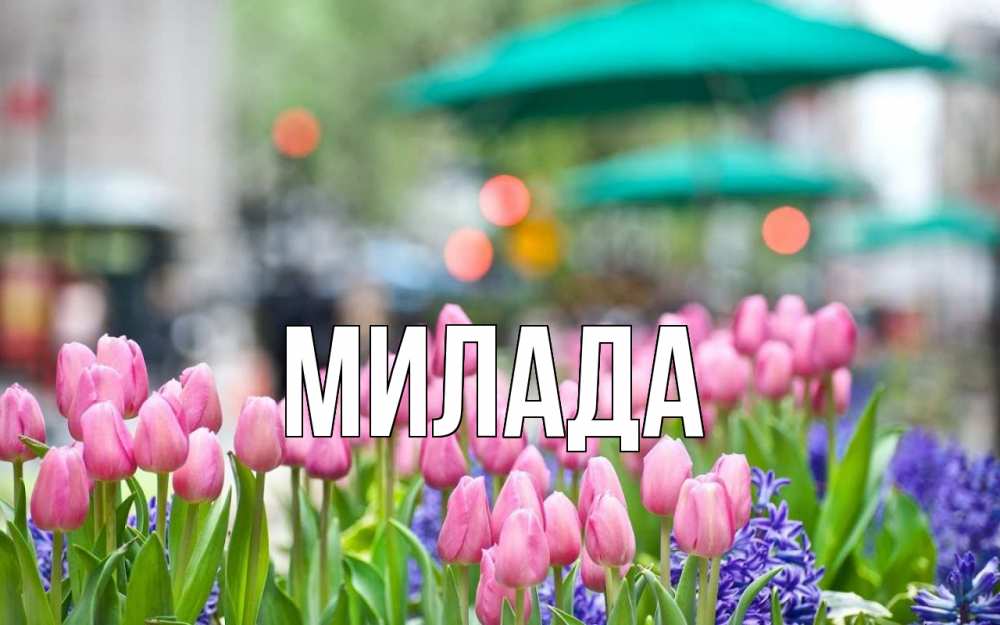 Открытка на каждый день с именем, Милада Главная С 1 мая Прикольная открытка с пожеланием онлайн скачать бесплатно 
