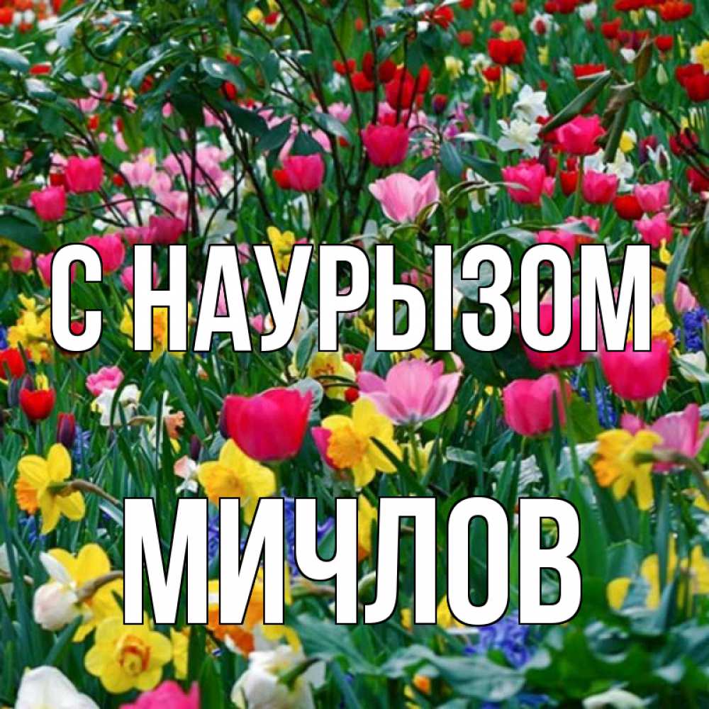 Открытка на каждый день с именем, Мичлов С наурызом с наурызом праздником весны поздравления для женщины Прикольная открытка с пожеланием онлайн скачать бесплатно 