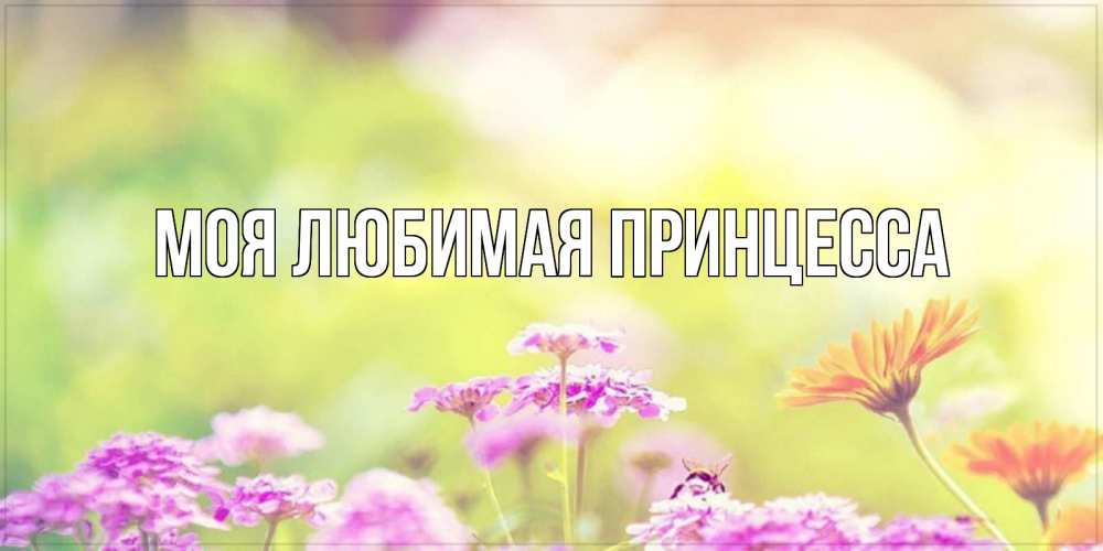 Открытка на каждый день с именем, Моя-Любимая-Принцесса Главная красивая открытка с летней темой Прикольная открытка с пожеланием онлайн скачать бесплатно 