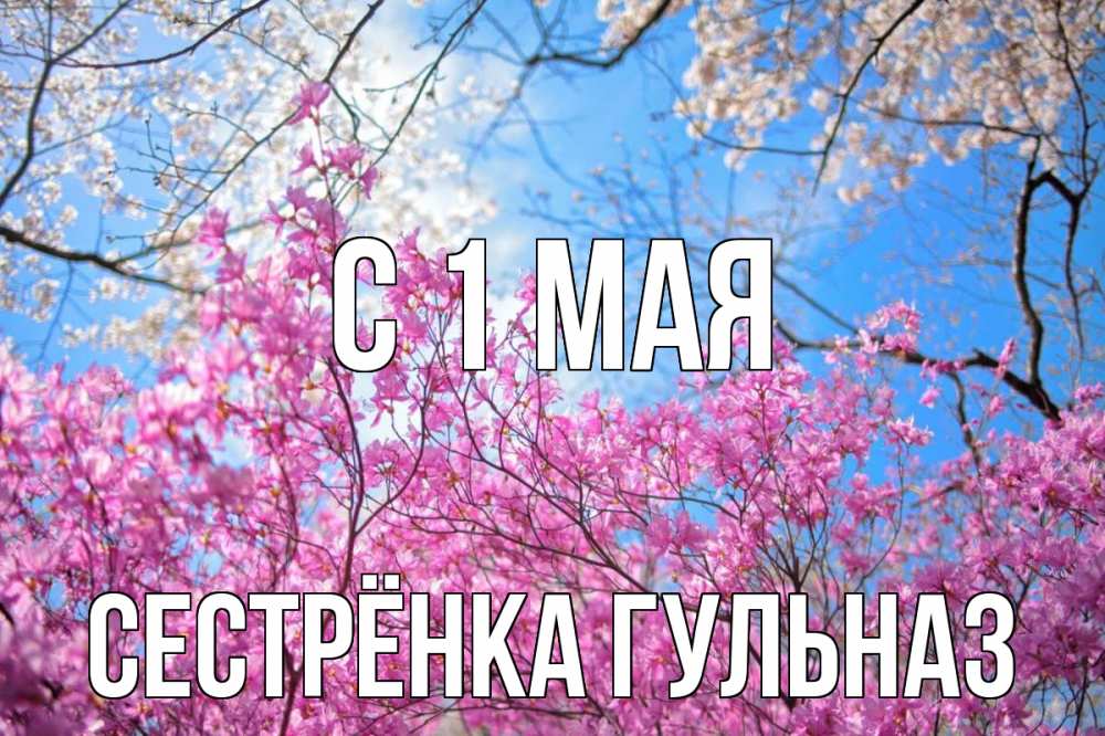 Открытка на каждый день с именем, Сестрёнка-Гульназ С 1 мая С 1 мая Прикольная открытка с пожеланием онлайн скачать бесплатно 
