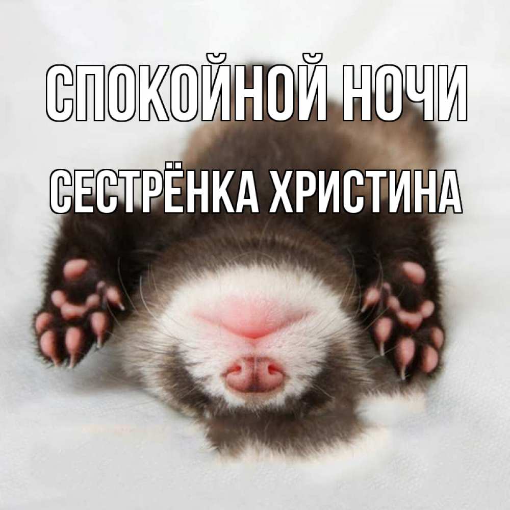Открытка на каждый день с именем, Сестрёнка-Христина Спокойной ночи зверек Прикольная открытка с пожеланием онлайн скачать бесплатно 