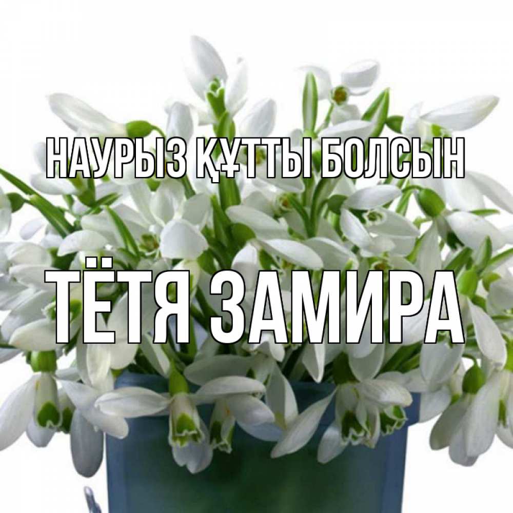 Открытка на каждый день с именем, Тётя-Замира Наурыз құтты болсын цветы к наурызу Прикольная открытка с пожеланием онлайн скачать бесплатно 