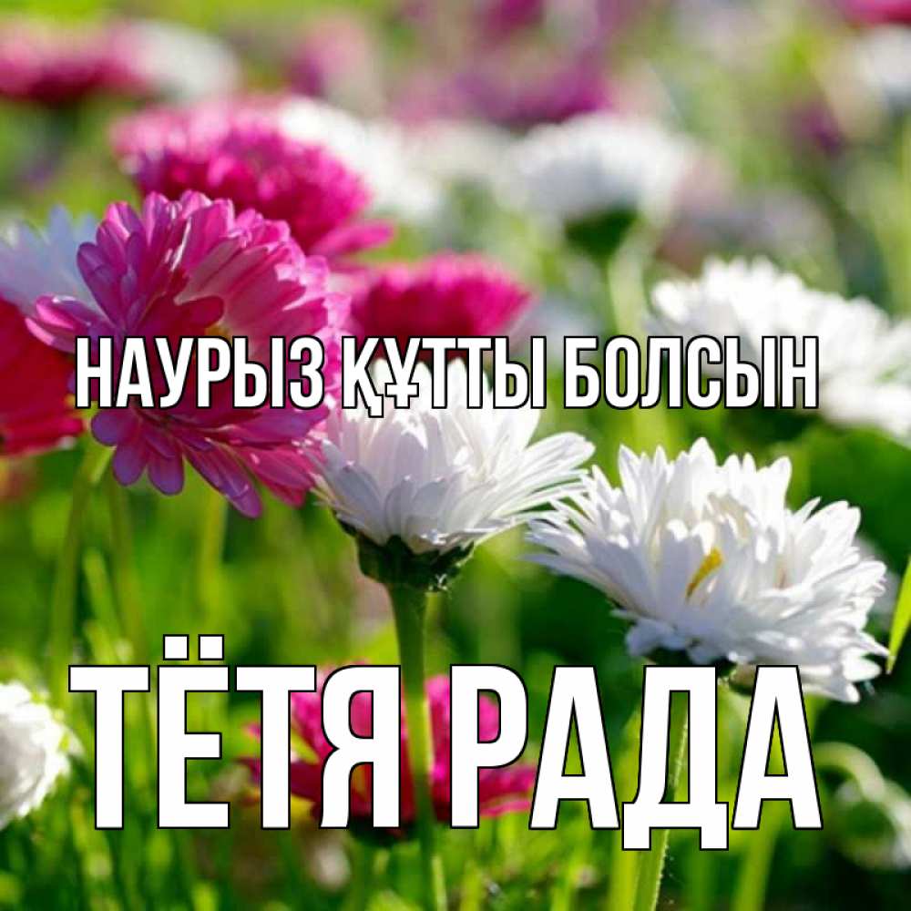 Открытка на каждый день с именем, Тётя-Рада Наурыз құтты болсын наурыз Прикольная открытка с пожеланием онлайн скачать бесплатно 