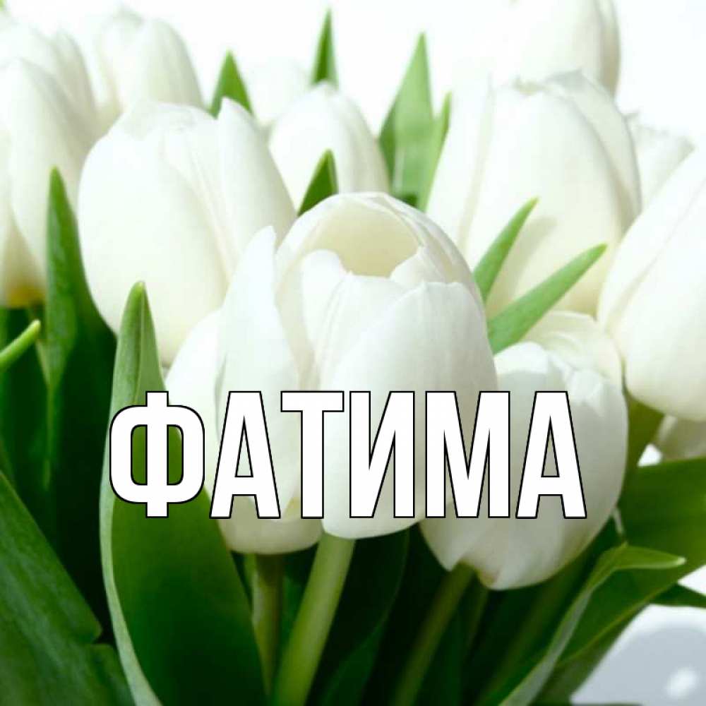 Открытка на каждый день с именем, Фатима Главная открытки на каждый день по именам Прикольная открытка с пожеланием онлайн скачать бесплатно 
