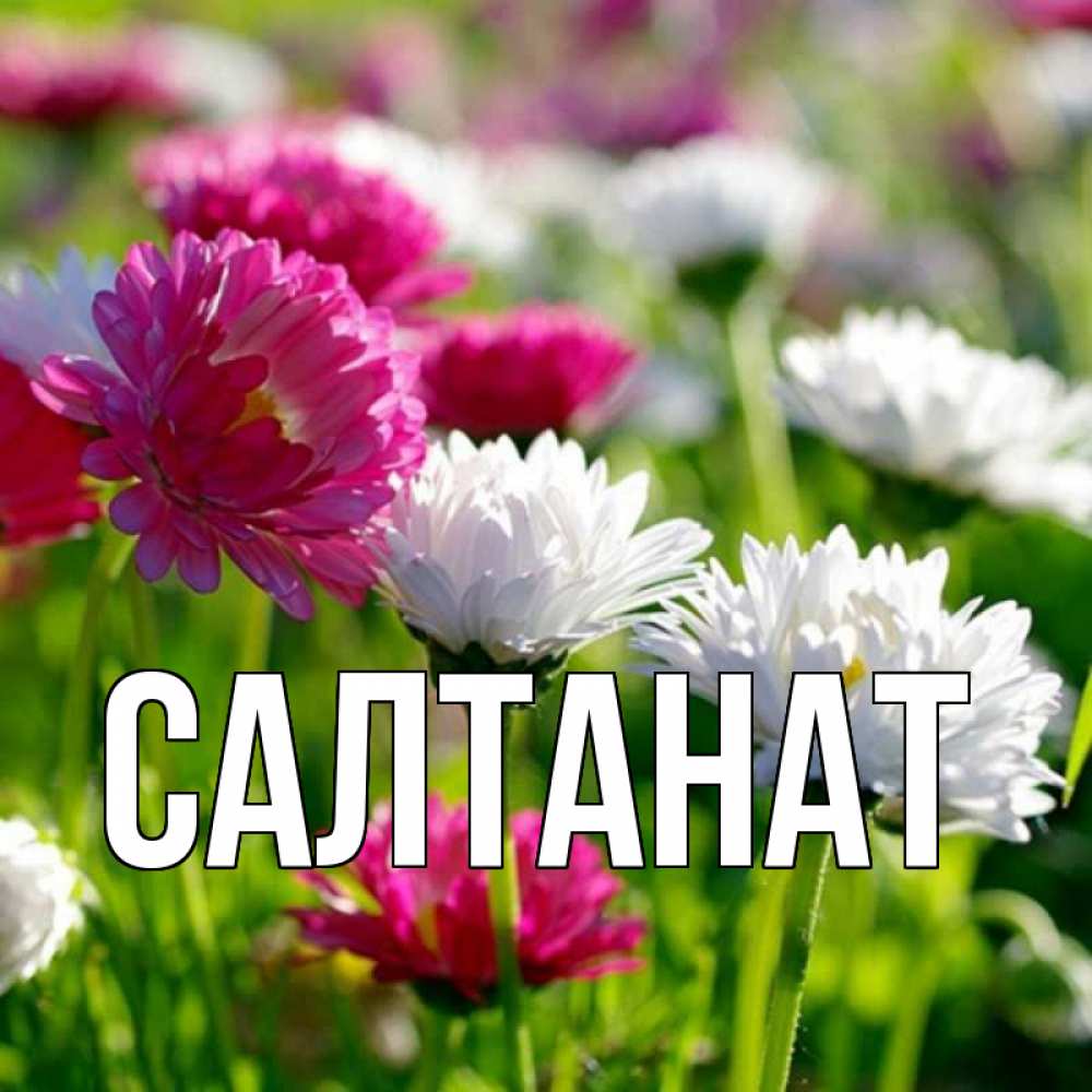 Салтанат с днем рождения картинки