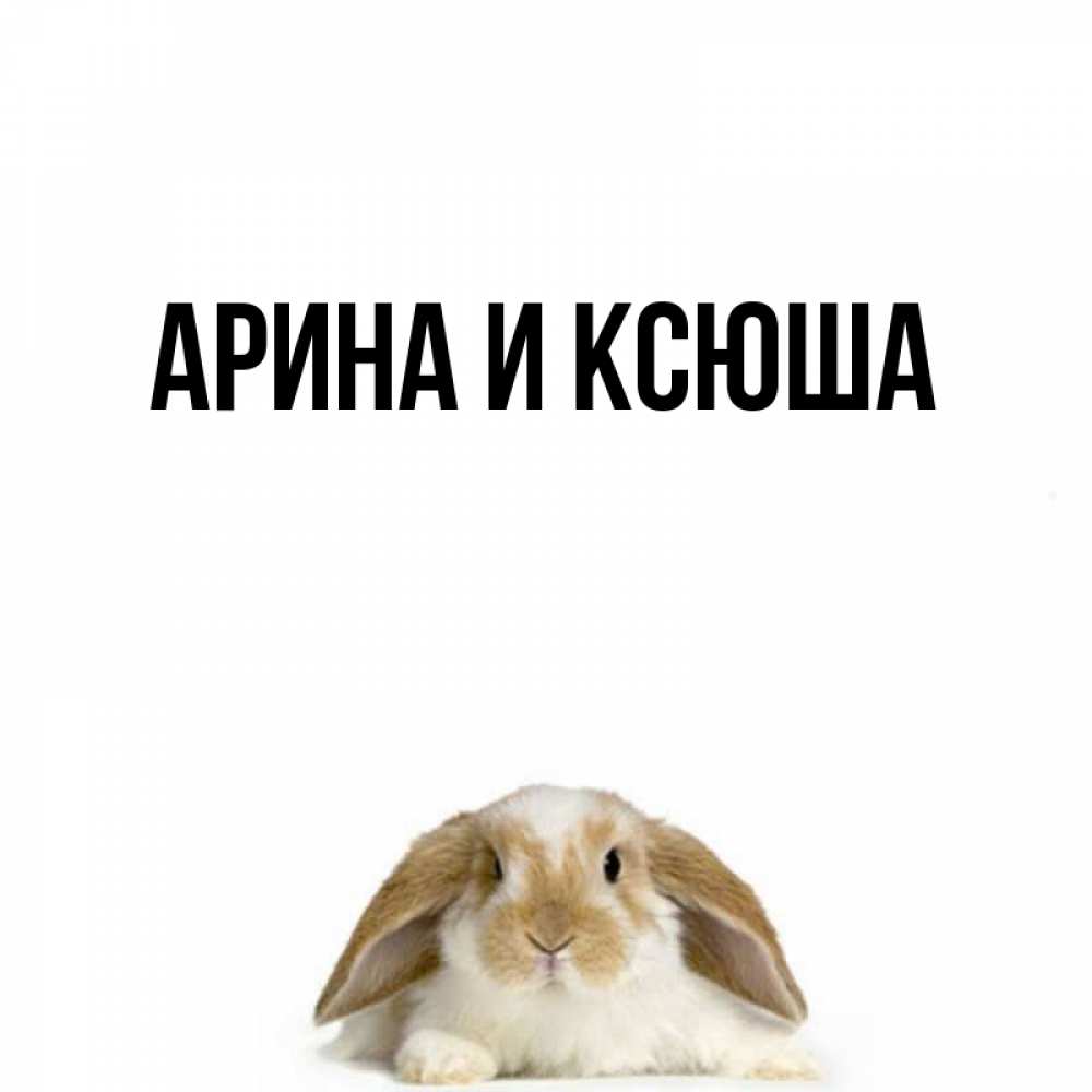 Открытка на каждый день с именем, Арина-и-Ксюша Главная открытки с произвольным текстом который можно вставить в открытку и создать ее самостоятельно бесплатно онлайн Прикольная открытка с пожеланием онлайн скачать бесплатно 