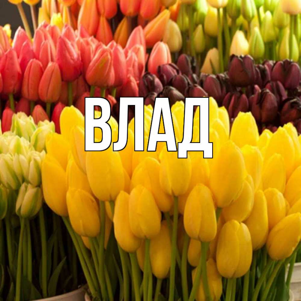 Картинка  с именем , Влад