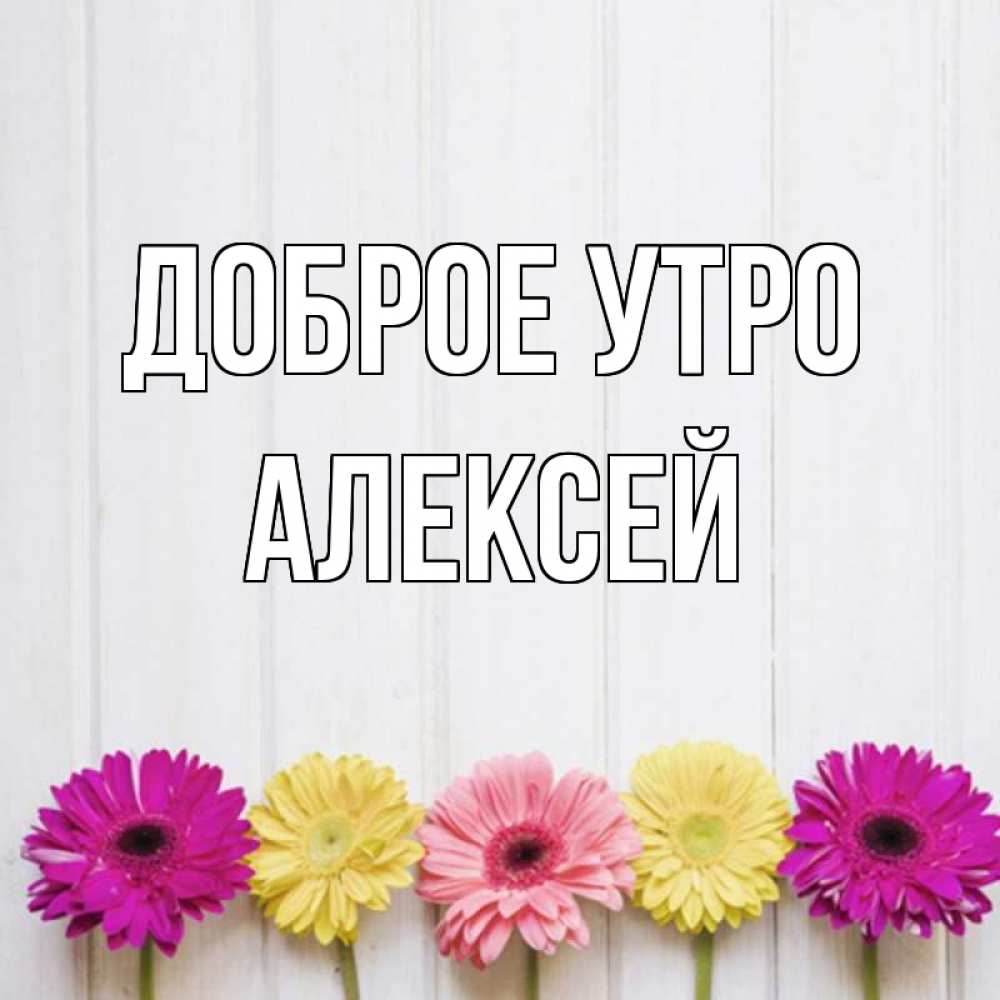 Открытка на каждый день с именем, Алексей Доброе утро красный желтый и розовый цветок Прикольная открытка с пожеланием онлайн скачать бесплатно 