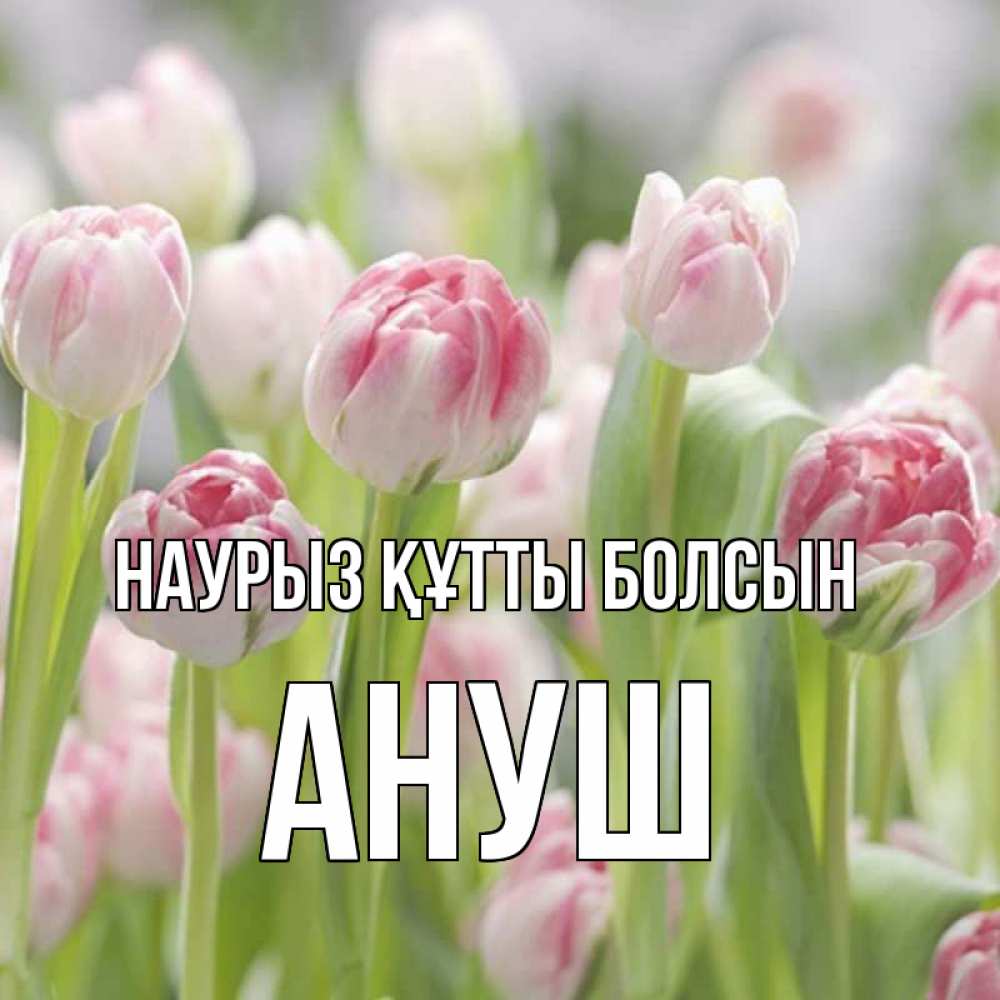 Открытка на каждый день с именем, Ануш Наурыз құтты болсын цветы Прикольная открытка с пожеланием онлайн скачать бесплатно 