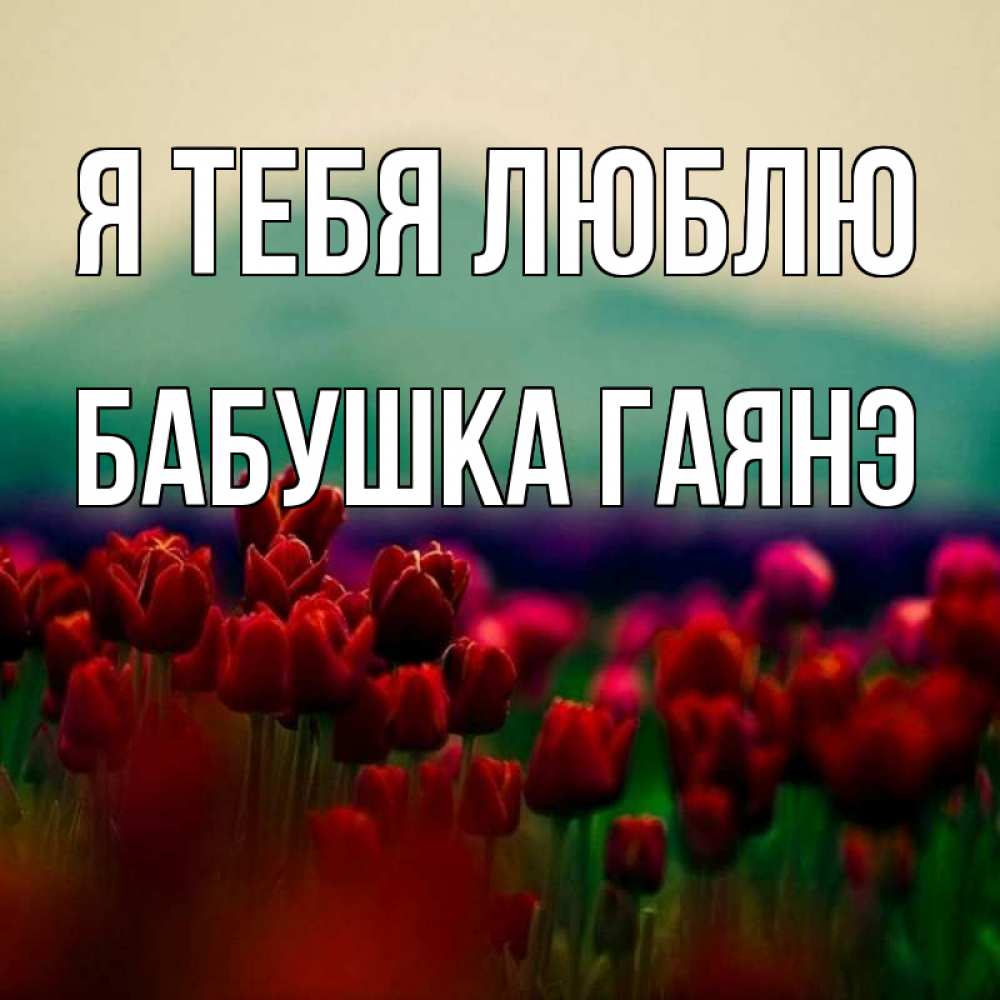 Открытка на каждый день с именем, Бабушка-Гаянэ Я тебя люблю тюльпаны 4 Прикольная открытка с пожеланием онлайн скачать бесплатно 
