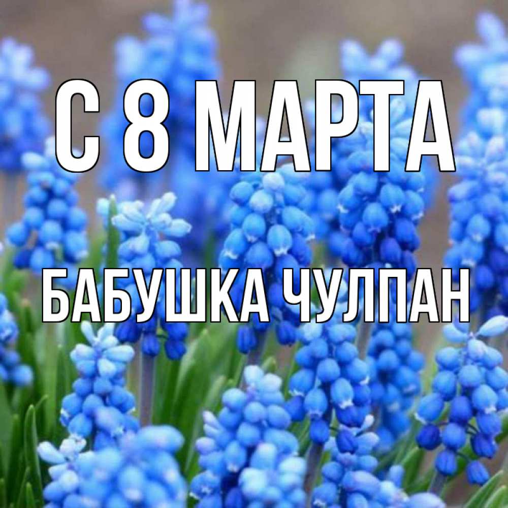Открытка на каждый день с именем, Бабушка-Чулпан С 8 МАРТА Поздравительная открытка для женщин с цветами на праздничную дату Прикольная открытка с пожеланием онлайн скачать бесплатно 