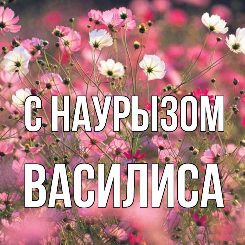Открытка на каждый день с именем, Василиса С наурызом красиво 1 Прикольная открытка с пожеланием онлайн скачать бесплатно 