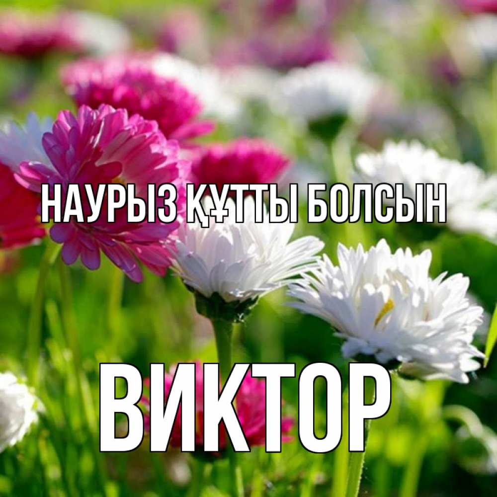 Открытка на каждый день с именем, Виктор Наурыз құтты болсын наурыз Прикольная открытка с пожеланием онлайн скачать бесплатно 