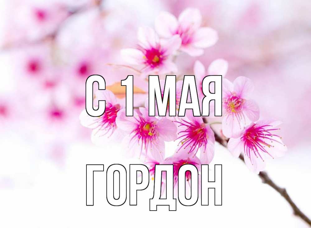 Открытка на каждый день с именем, Гордон С 1 мая С 1 мая 2 Прикольная открытка с пожеланием онлайн скачать бесплатно 