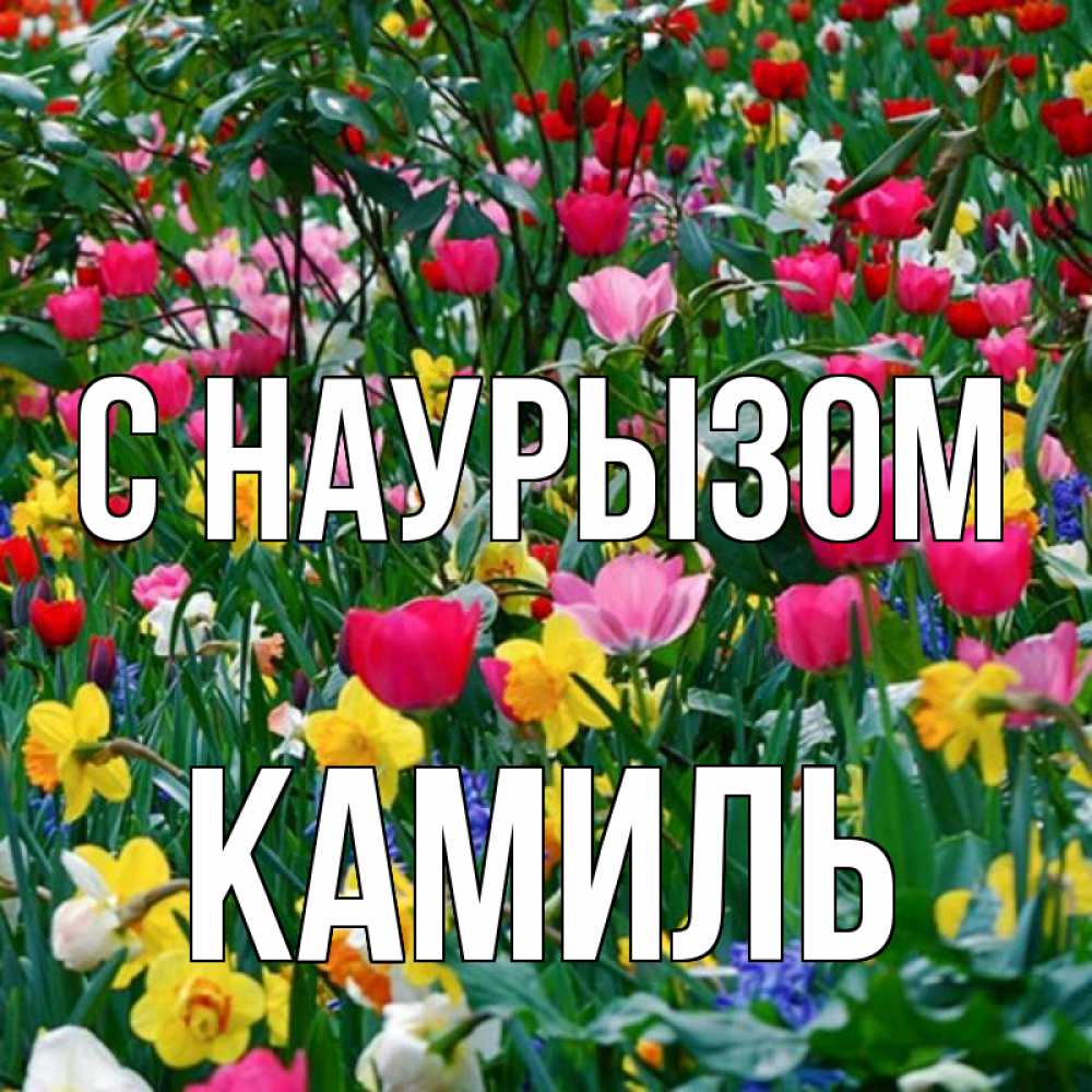 Открытка на каждый день с именем, Камиль С наурызом с наурызом праздником весны поздравления для женщины Прикольная открытка с пожеланием онлайн скачать бесплатно 