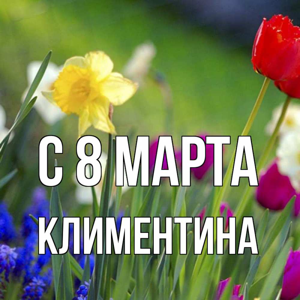 Открытка на каждый день с именем, Климентина С 8 МАРТА международный женский день 3 Прикольная открытка с пожеланием онлайн скачать бесплатно 