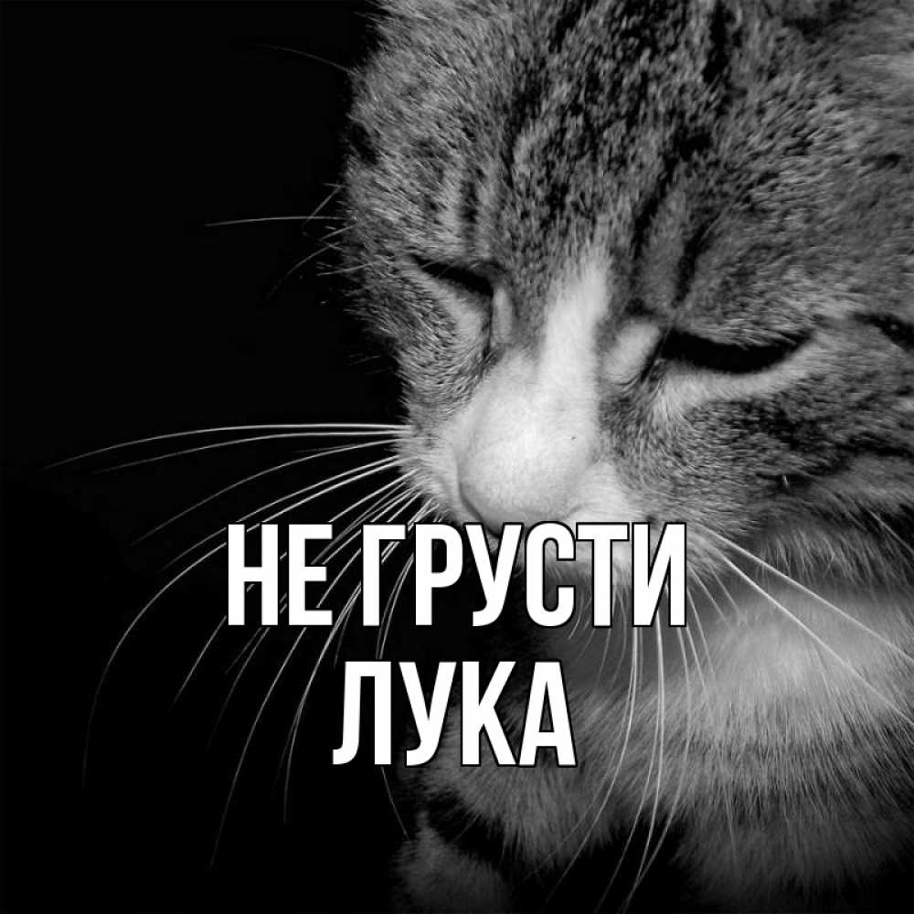 Открытка на каждый день с именем, Лука Не грусти грустный котик Прикольная открытка с пожеланием онлайн скачать бесплатно 