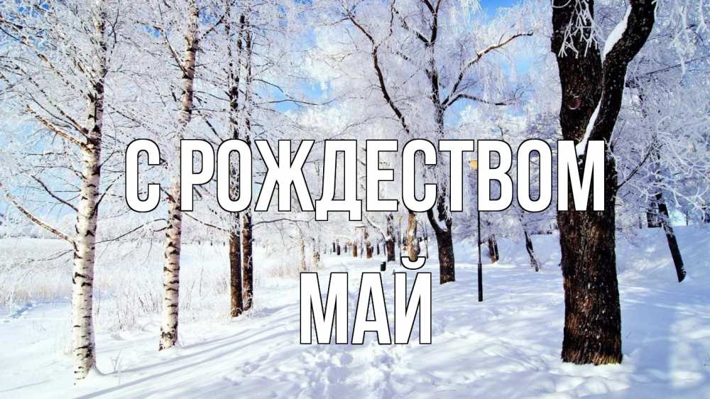 Открытка на каждый день с именем, Май С рождеством зимний лес Прикольная открытка с пожеланием онлайн скачать бесплатно 