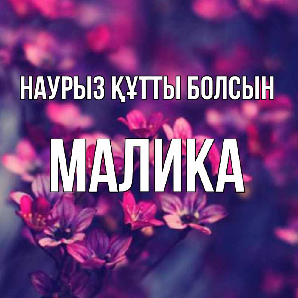 Открытка на каждый день с именем, Малика Наурыз құтты болсын небольшие цветы 1 Прикольная открытка с пожеланием онлайн скачать бесплатно 