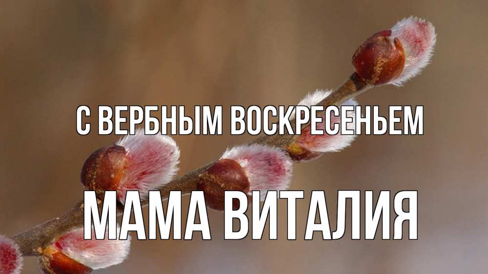 Открытка на каждый день с именем, Мама-Виталия С вербным воскресеньем верба Прикольная открытка с пожеланием онлайн скачать бесплатно 