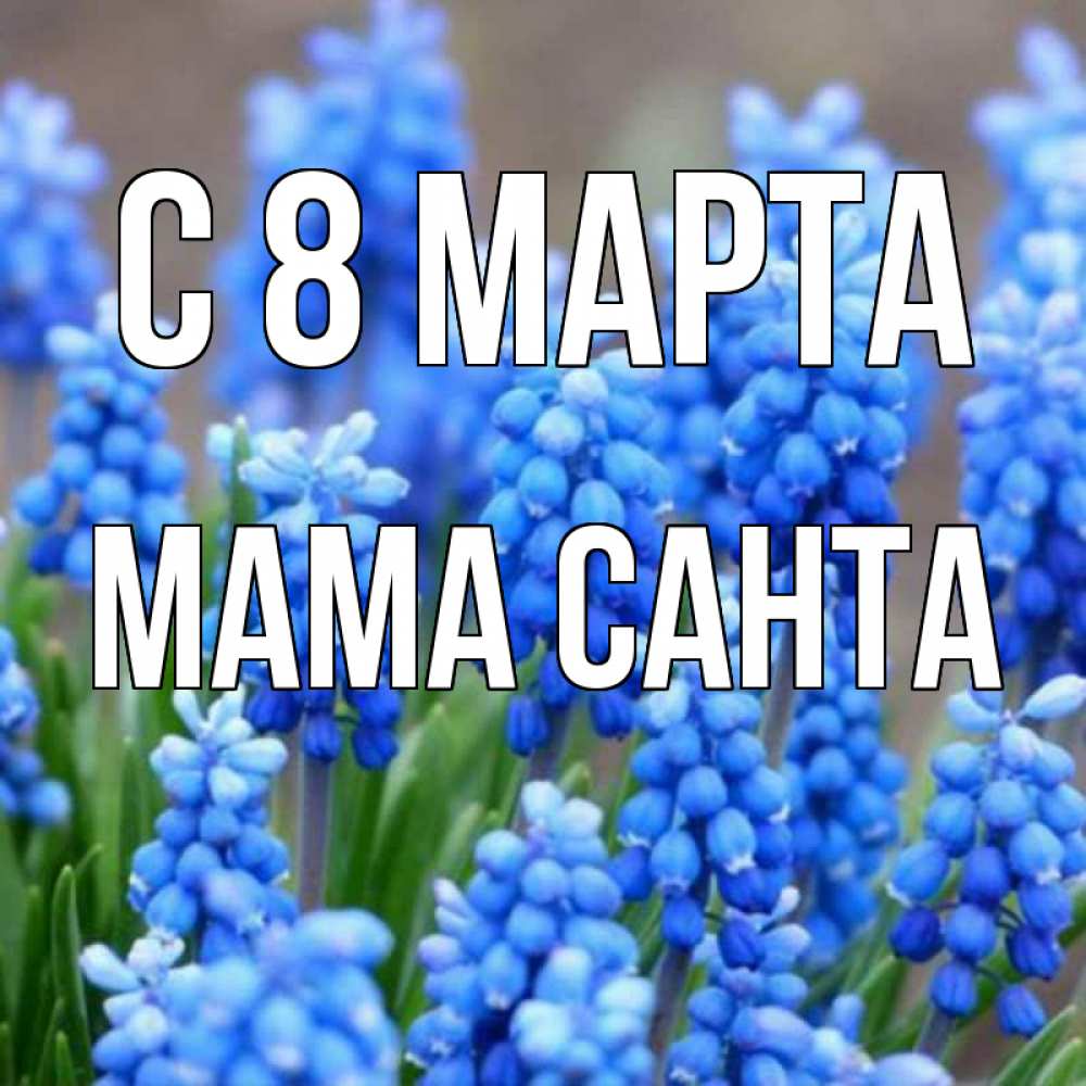 Открытка на каждый день с именем, Мама-Санта С 8 МАРТА Поздравительная открытка для женщин с цветами на праздничную дату Прикольная открытка с пожеланием онлайн скачать бесплатно 