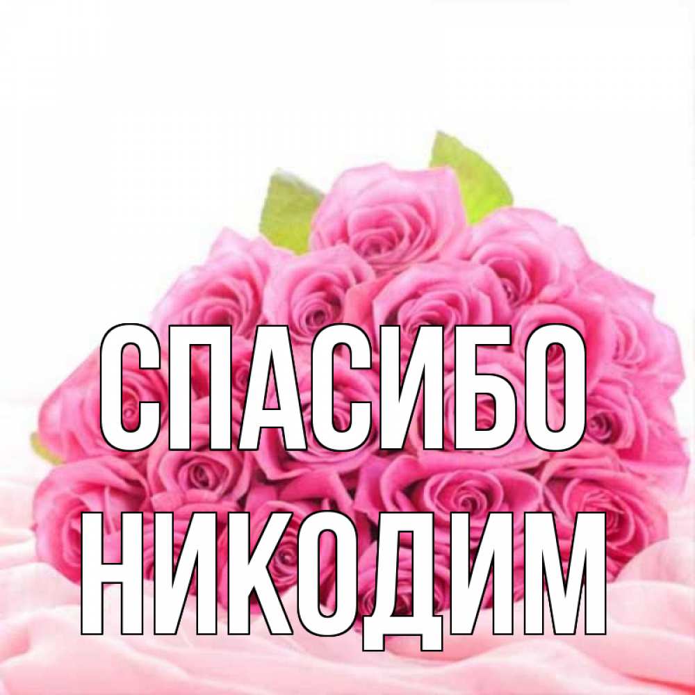 Открытка на каждый день с именем, Никодим Спасибо розовые розы с подписью Прикольная открытка с пожеланием онлайн скачать бесплатно 