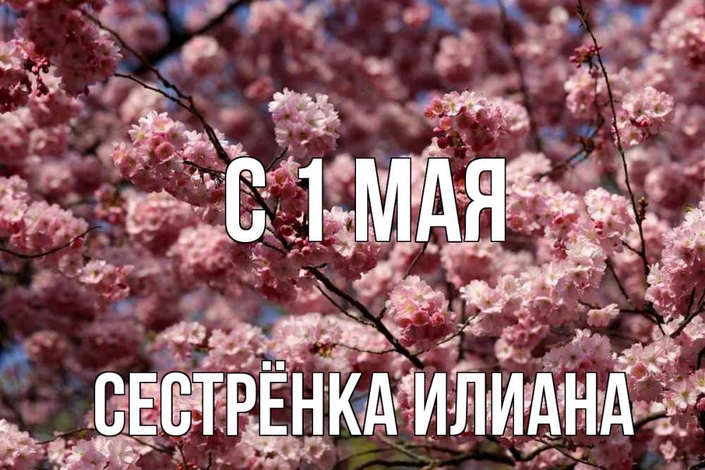 Открытка на каждый день с именем, Сестрёнка-Илиана С 1 мая С 1 мая Прикольная открытка с пожеланием онлайн скачать бесплатно 