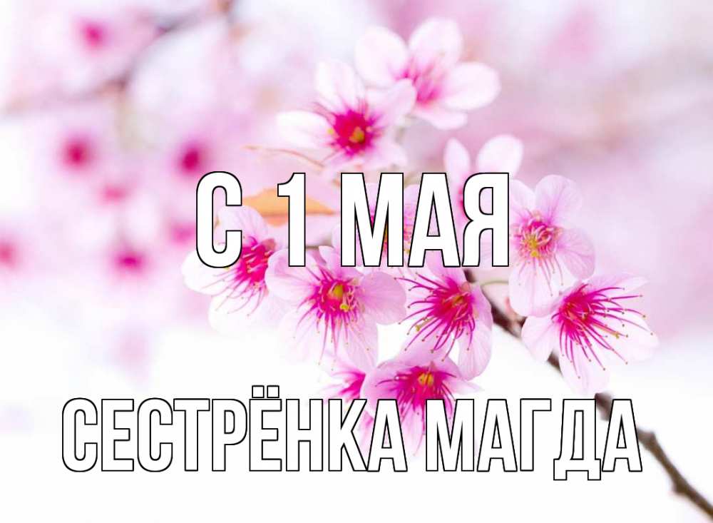 Открытка на каждый день с именем, Сестрёнка-Магда С 1 мая С 1 мая 2 Прикольная открытка с пожеланием онлайн скачать бесплатно 