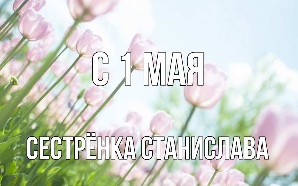 Открытка на каждый день с именем, Сестрёнка-Станислава С 1 мая С 1 мая Прикольная открытка с пожеланием онлайн скачать бесплатно 