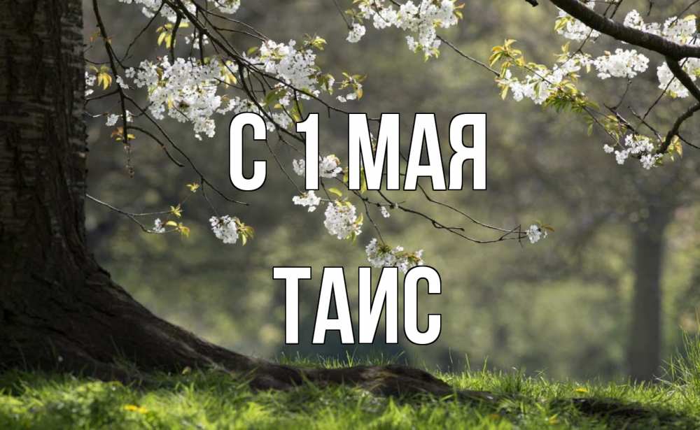 Открытка на каждый день с именем, Таис С 1 мая С 1 мая Прикольная открытка с пожеланием онлайн скачать бесплатно 