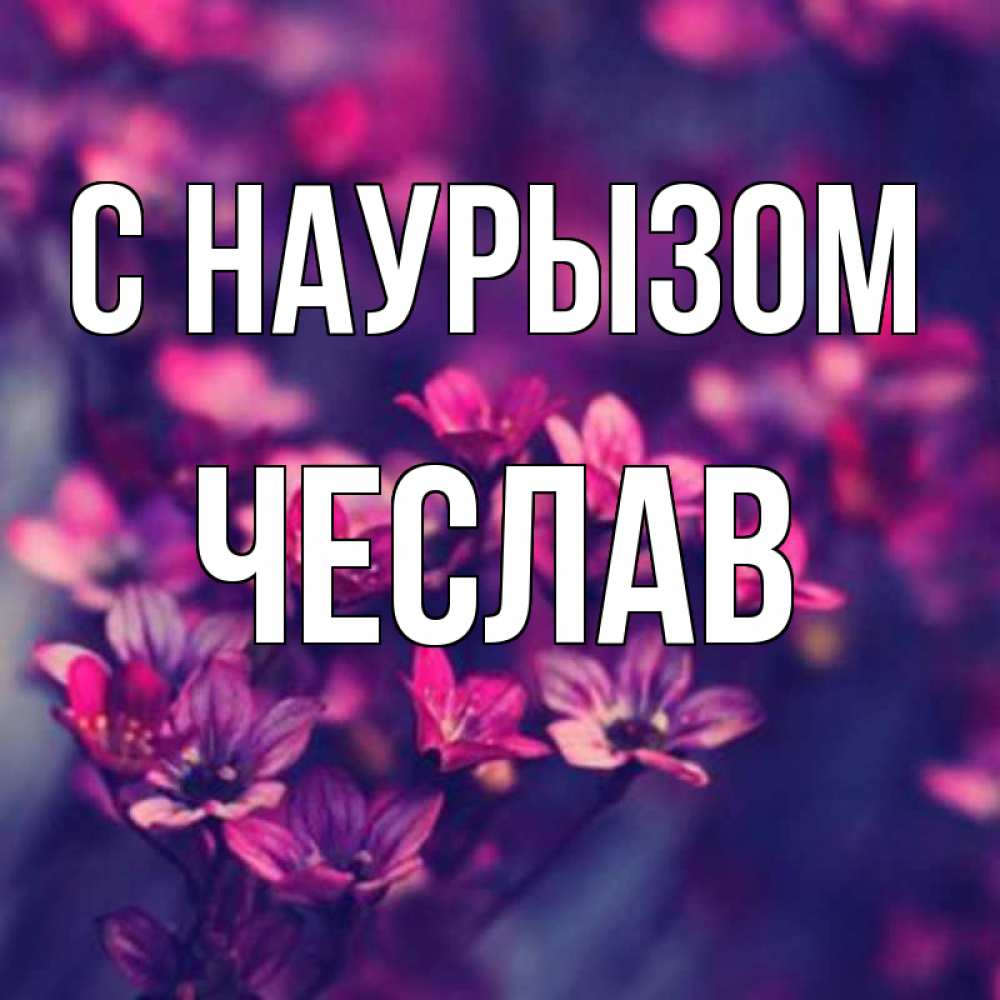 Открытка на каждый день с именем, Чеслав С наурызом небольшие цветы 1 Прикольная открытка с пожеланием онлайн скачать бесплатно 