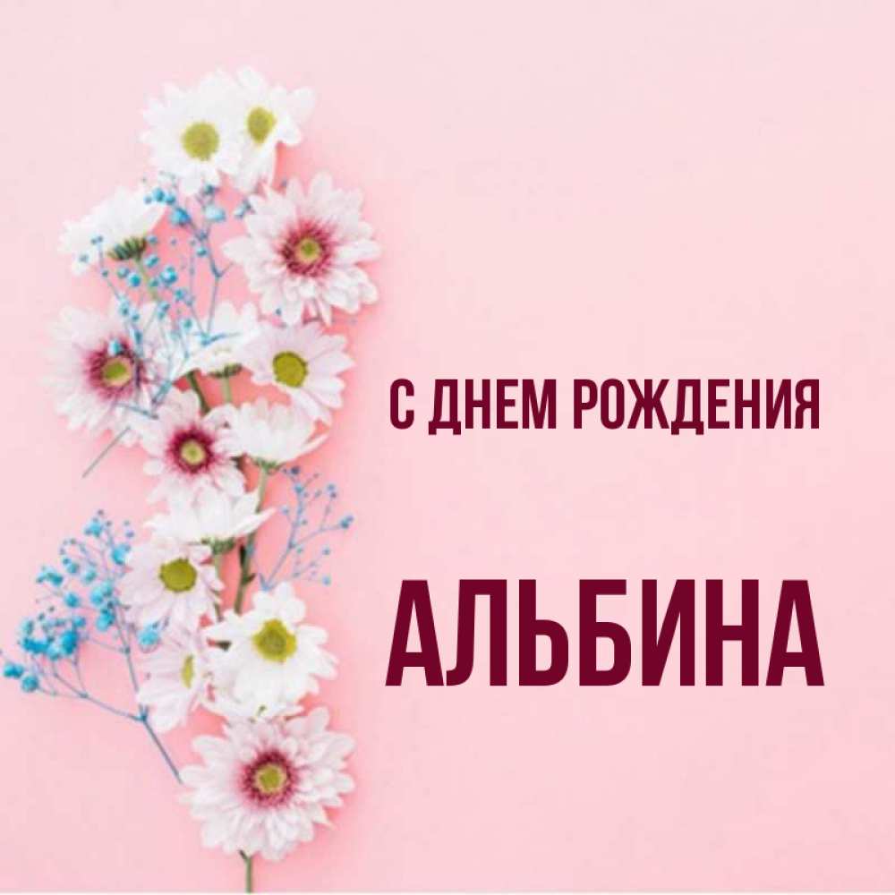 С днем рождения альбиночка картинки красивые