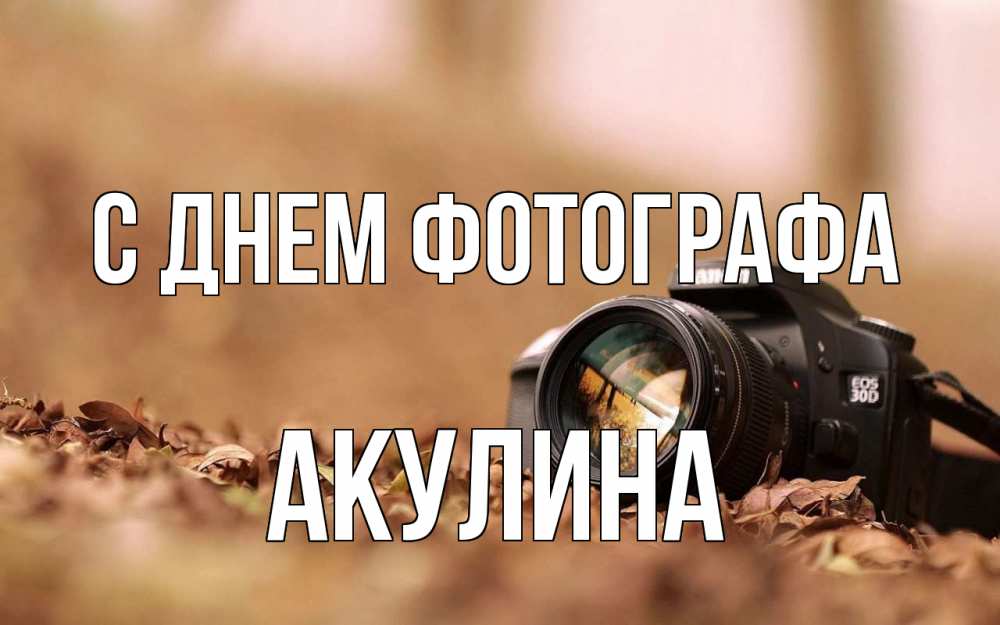 Открытка на каждый день с именем, Акулина С днем фотографа с днем фотографа Прикольная открытка с пожеланием онлайн скачать бесплатно 