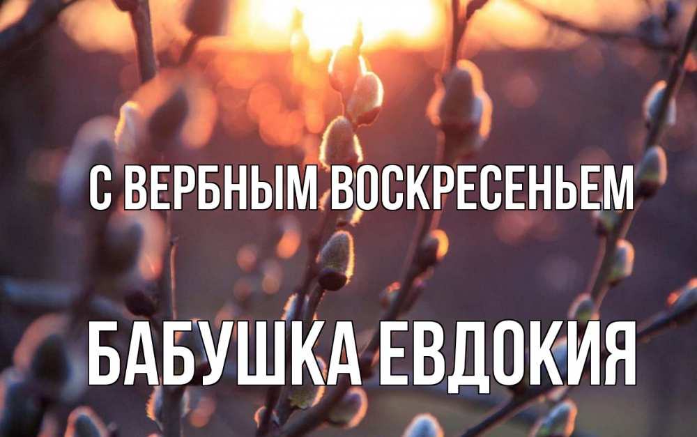 Открытка на каждый день с именем, Бабушка-Евдокия С вербным воскресеньем верба Прикольная открытка с пожеланием онлайн скачать бесплатно 