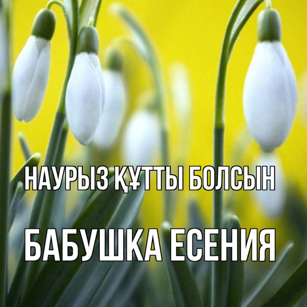 Открытка на каждый день с именем, Бабушка-Есения Наурыз құтты болсын весенние цветы Прикольная открытка с пожеланием онлайн скачать бесплатно 