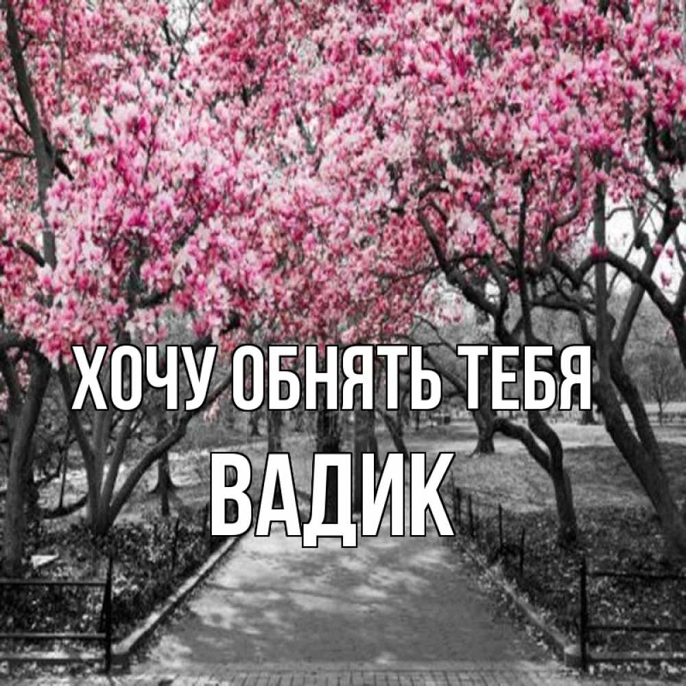 Открытка на каждый день с именем, Вадик Хочу обнять тебя обработанное фото Прикольная открытка с пожеланием онлайн скачать бесплатно 