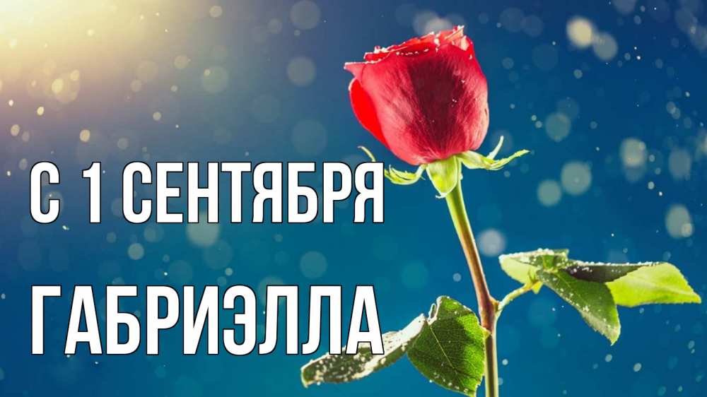 Открытка на каждый день с именем, Габриэлла С 1 сентября с днем знаний Прикольная открытка с пожеланием онлайн скачать бесплатно 